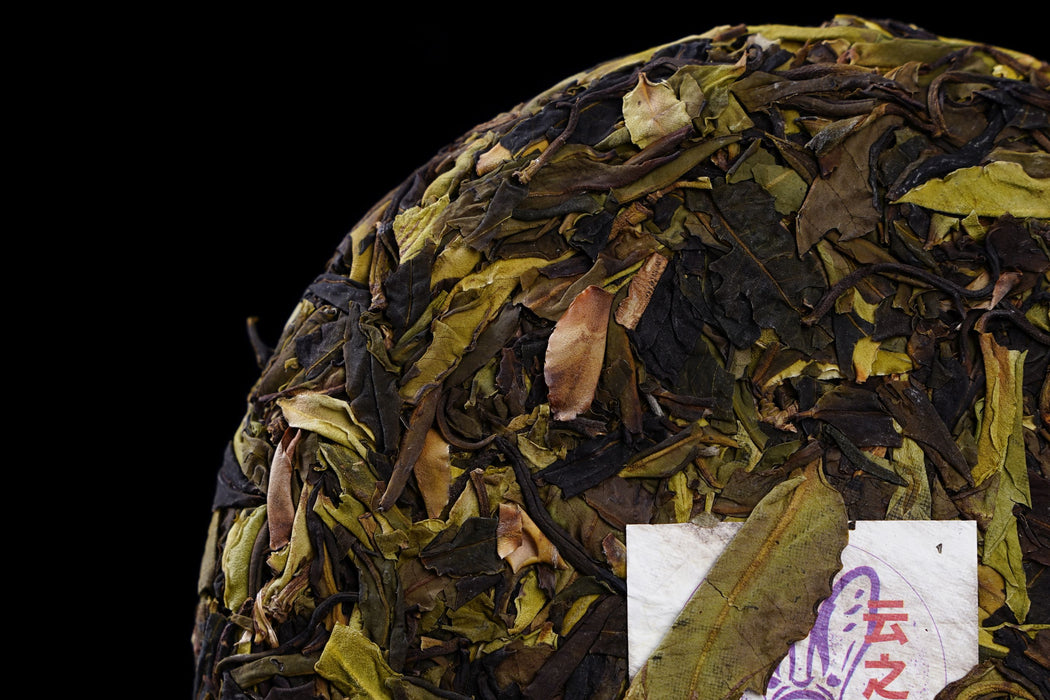 2023 Yunnan Sourcing "Purple White Tea" of Yong De Tea Cake