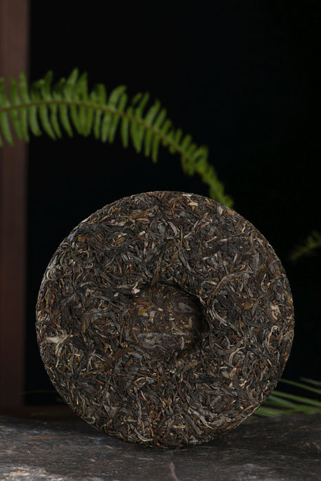 2021 Yunnan Sourcing "Da Zhu Peng" Old Arbor Raw Pu-erh Tea Cake