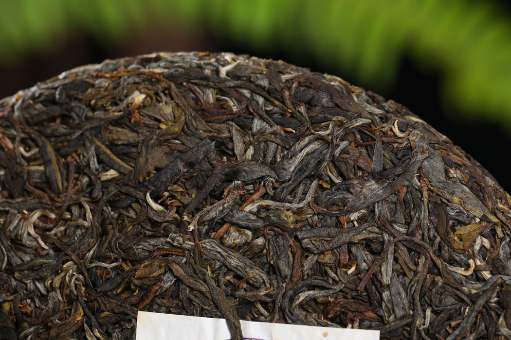 2021 Yunnan Sourcing "Primitive Garden" Raw Pu-erh Tea Cake