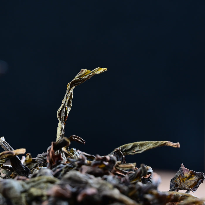 Old Bush "Flower Aroma" Shui Xian Oolong Tea