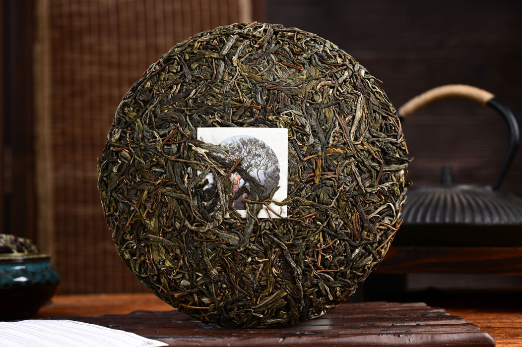 2022 Yunnan Sourcing "Bang Dong Impression" Old Arbor Raw Pu-erh Tea Cake