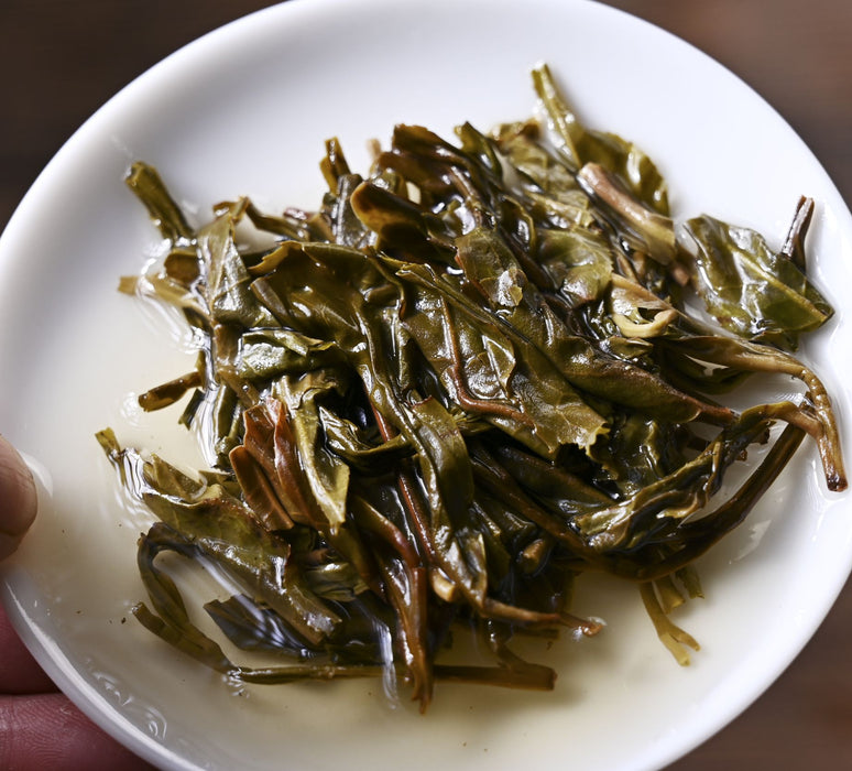 2021 Yunnan Sourcing "Yi Shan Mo" Yi Wu Ancient Arbor Raw Pu-erh Tea Cake