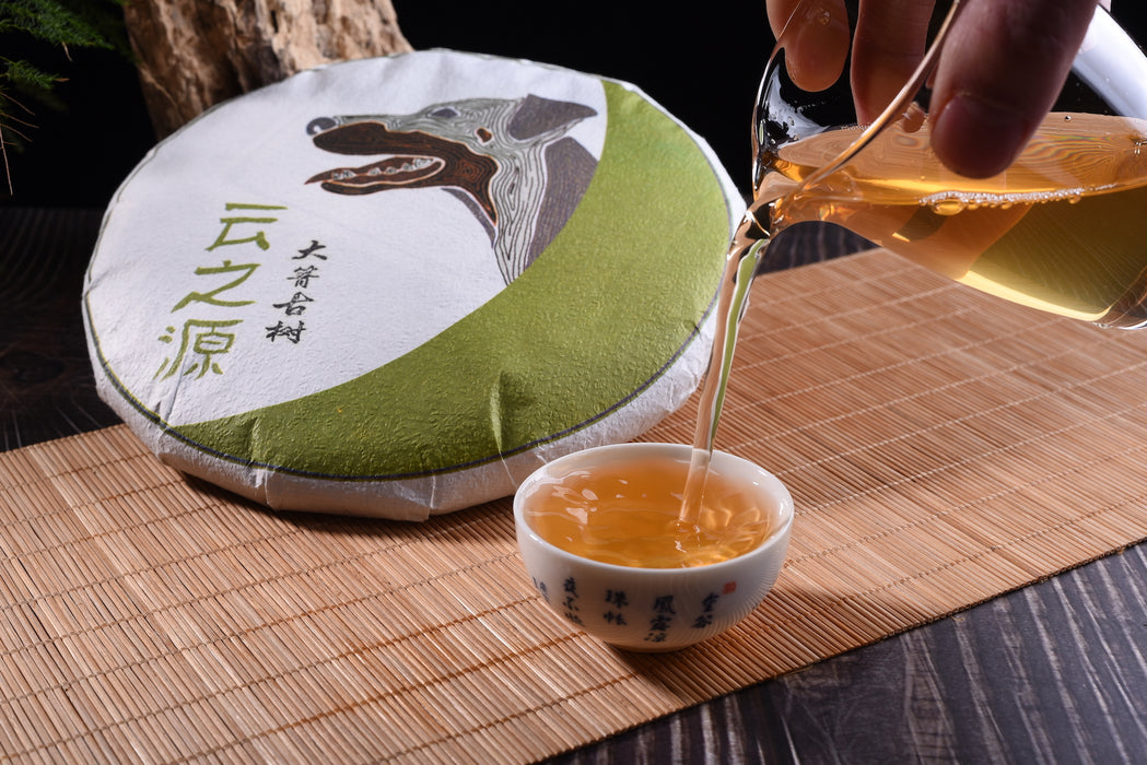 2018 Yunnan Sourcing "Autumn Da Qing Gu Shu" Raw Pu-erh Tea Cake