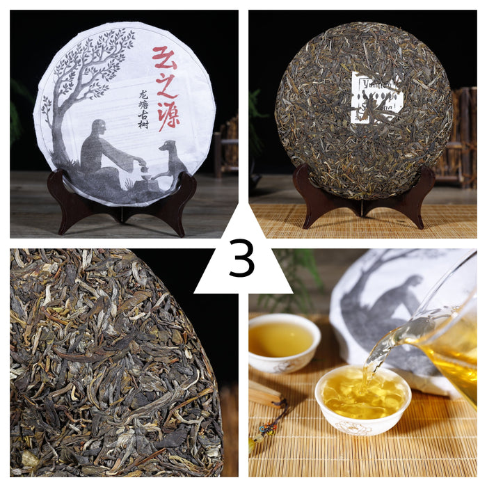 2018 Yunnan Sourcing "Spring Jinggu" Raw Pu-erh Tea Sampler - Part 3
