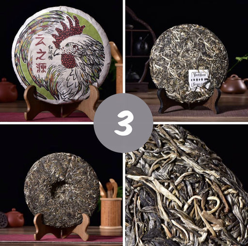 Jinggu Raw Pu-erh Tea Sampler * Spring 2017 Harvest * Part 3 of 3 | Yunnan Sourcing Tea Shop