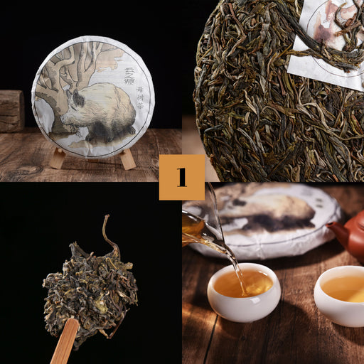 2019 Yunnan Sourcing "Autumn Lincang" Raw Pu-erh Tea Sampler * Part 1 | Yunnan Sourcing Tea Shop
