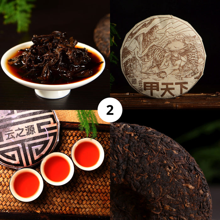 Yunnan Sourcing Brand Ripe Pu-erh Tea Sampler for 2020 - Part 2