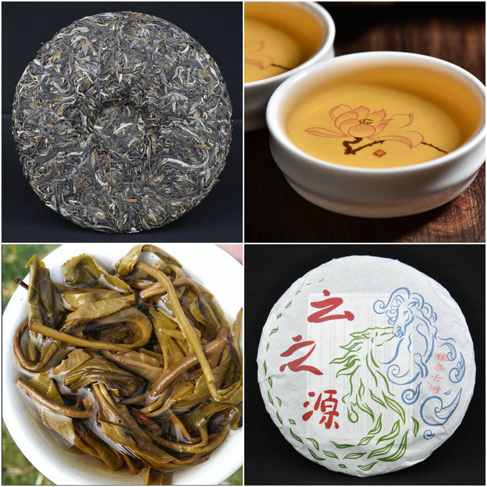 2014 Yunnan Sourcing Autumn Jinggu Raw Pu-erh Tea Sampler