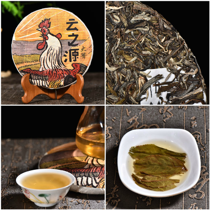 Yunnan Sourcing "Da Qing Village" Raw Pu-erh Tea Sampler