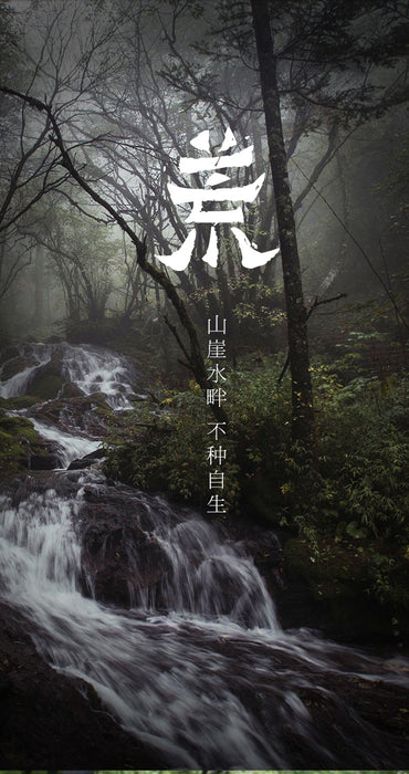 2018 Gao Jia Shan "Fu Rong Mountain" Fu Zhuan Wild Tea