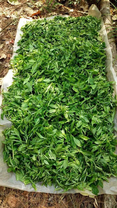 2016 Yunnan Sourcing "Han Gu Di" Old Arbor Raw Pu-erh tea cake