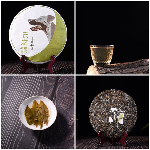 2018 Yunnan Sourcing "Autumn Jinggu" Raw Pu-erh Tea Sampler | Yunnan Sourcing Tea Shop