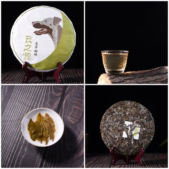 2018 Yunnan Sourcing "Autumn Jinggu" Raw Pu-erh Tea Sampler