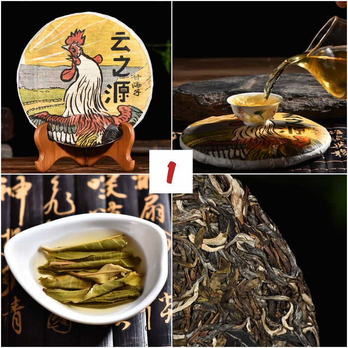 2017 Yunnan Sourcing "Autumn Jinggu" Raw Pu-erh Tea Sampler * Part 1