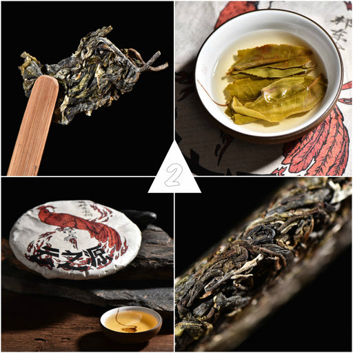 2017 Yunnan Sourcing "Autumn Lincang" Raw Pu-erh Tea Sampler * Part 2 | Yunnan Sourcing Tea Shop