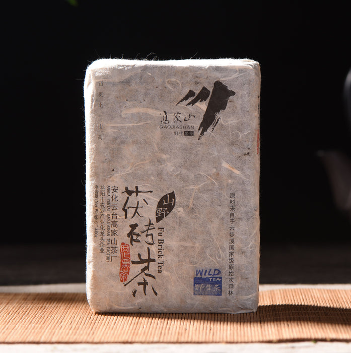 2009 Gao Jia Shan "Wild Fu Zhuan" Hunan Brick Tea