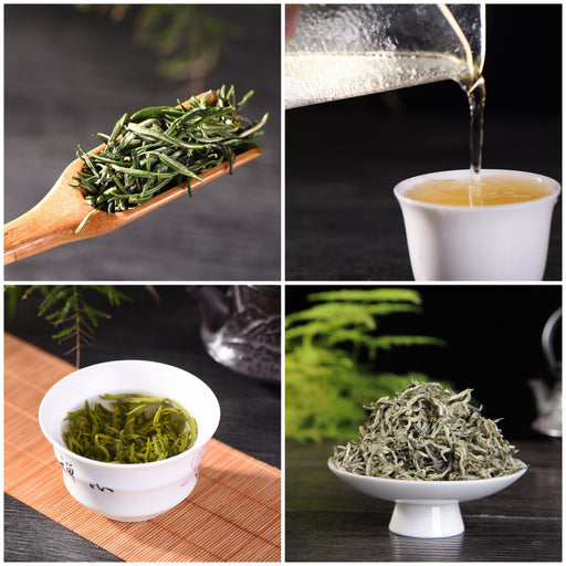 Yunnan "Spring Tribute" Green Tea Sampler | Yunnan Sourcing Tea Shop