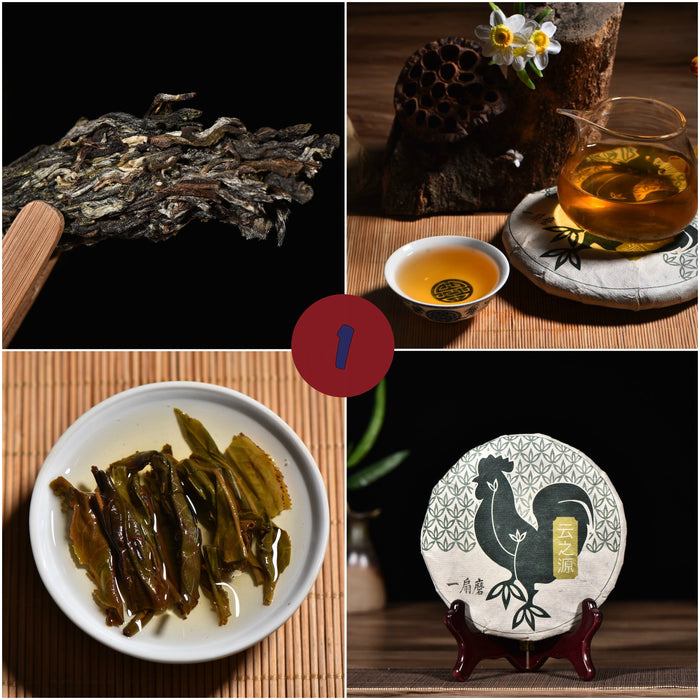 2017 Yunnan Sourcing "Autumn Yi Wu" Raw Pu-erh Tea Sampler * Part 1