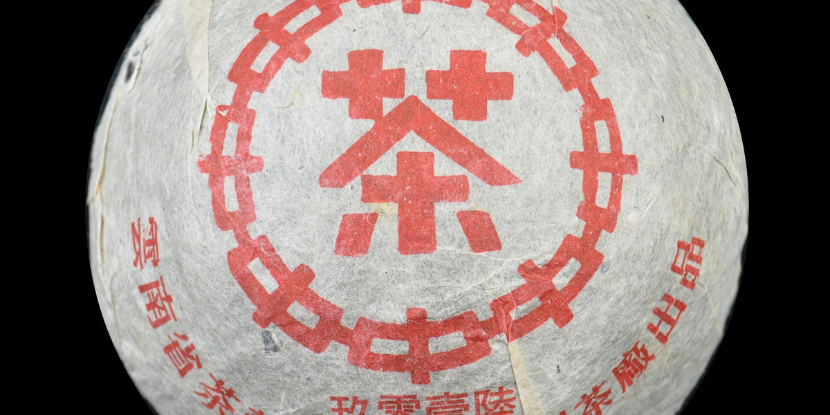 標本 Yunnan China Necydalis s.p 23mm Yunnan China Necydalis s.p 23mm