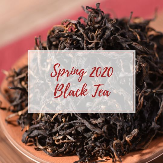 Black Tea - Spring 2020