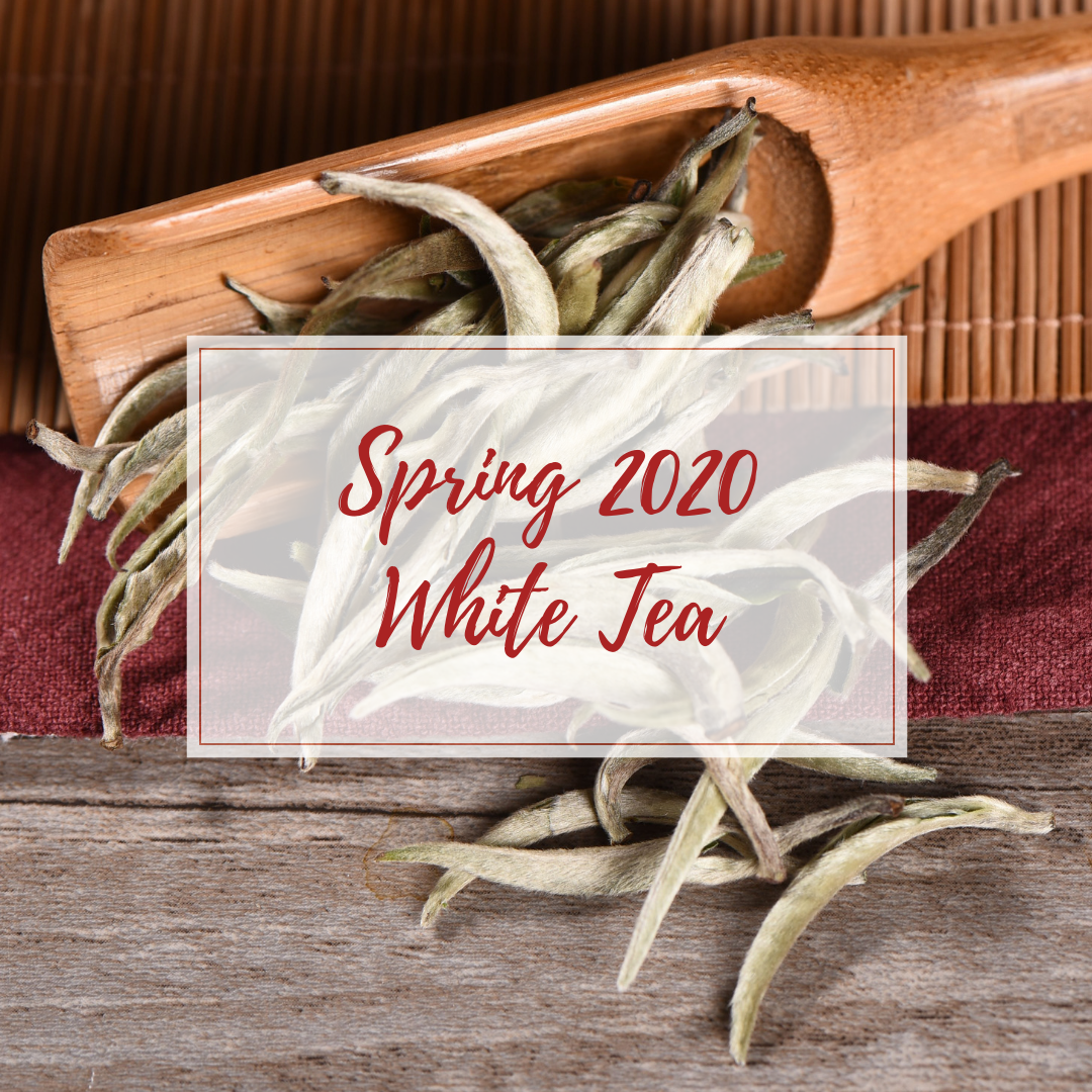 White Tea - Spring 2020