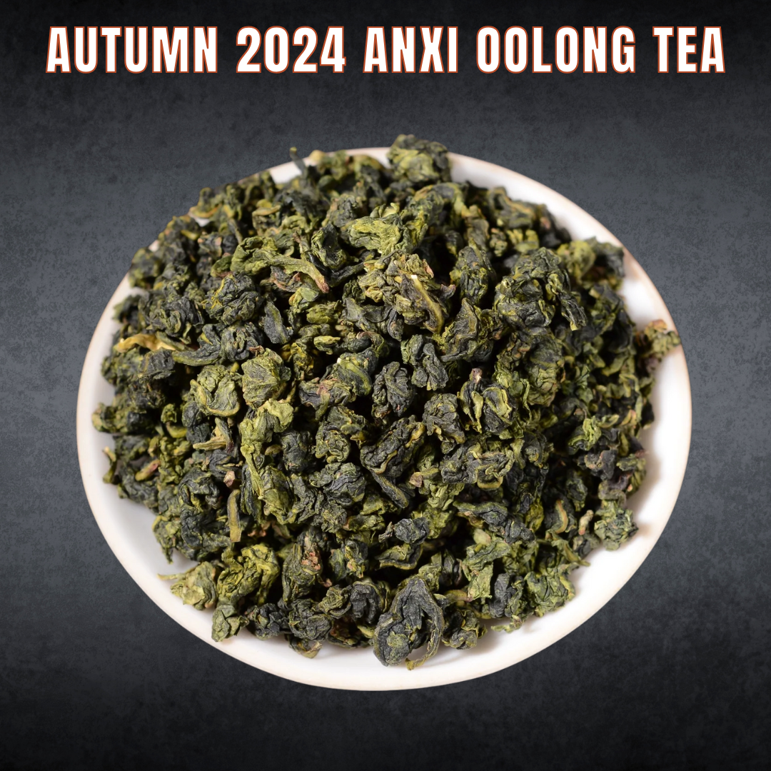 Anxi Oolong Tea - Autumn 2024