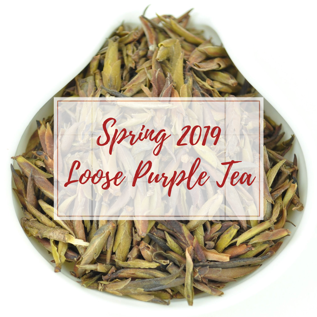 Purple Tea (loose leaf) - Spring 2019