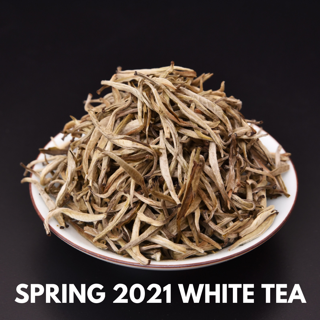 White Tea - Spring 2021