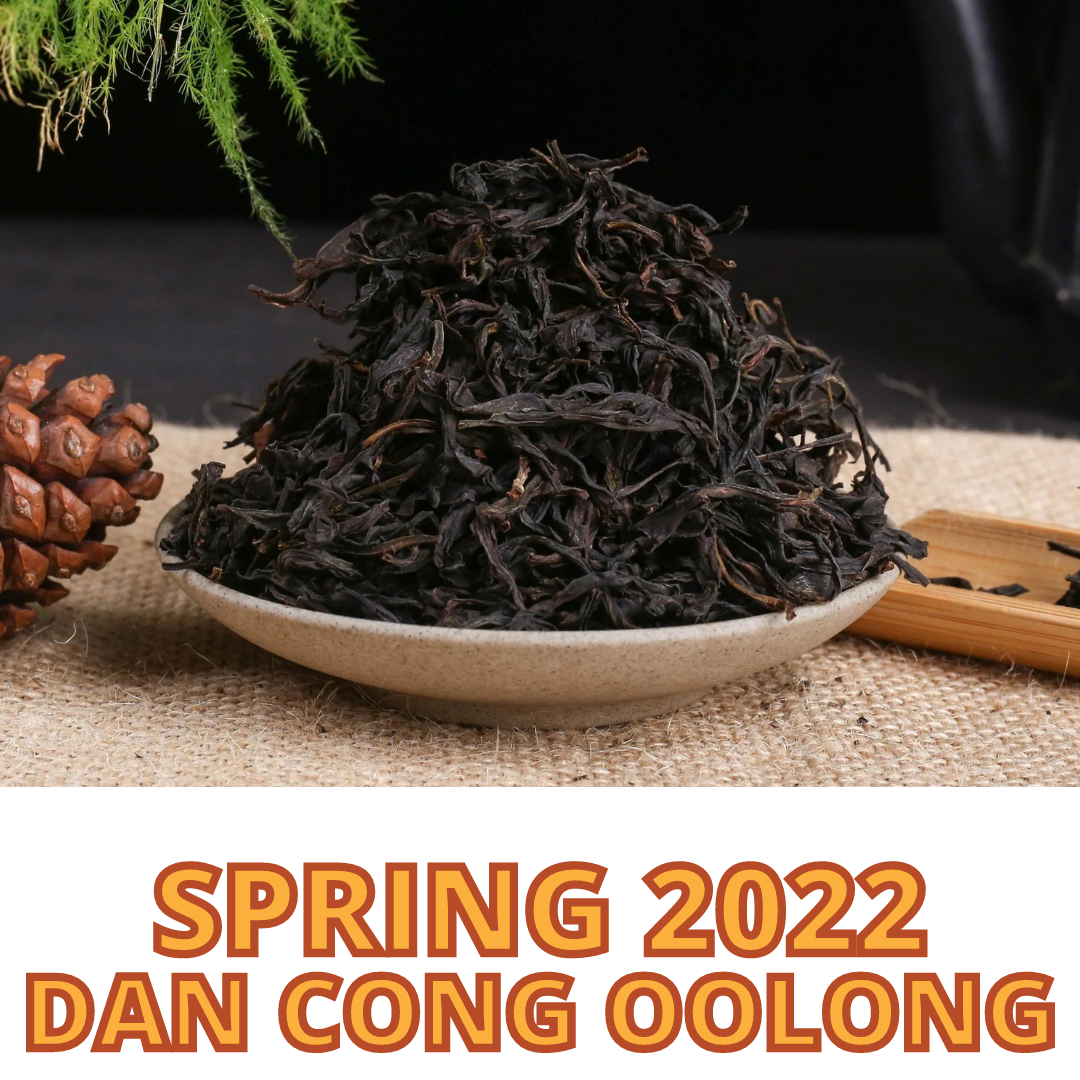 Dan Cong Oolong Tea Spring 2022 — Yunnan Sourcing Tea Shop