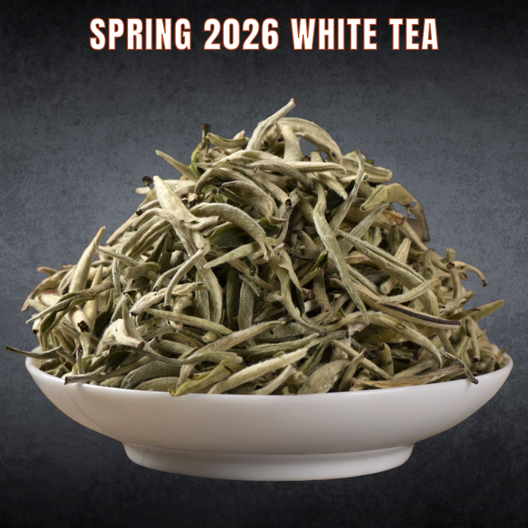 White Tea - Spring 2026