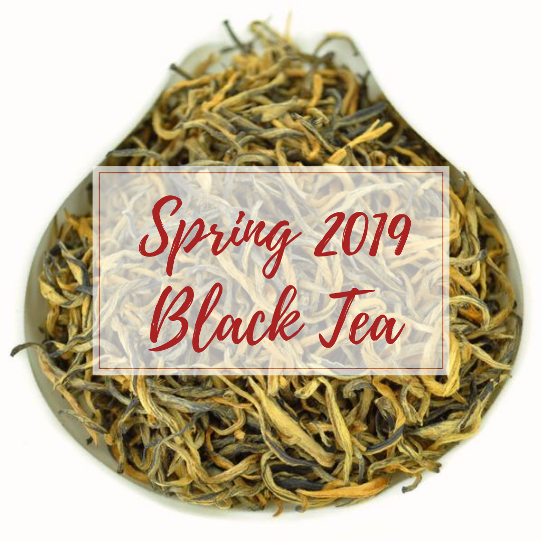Black Tea - Spring 2019