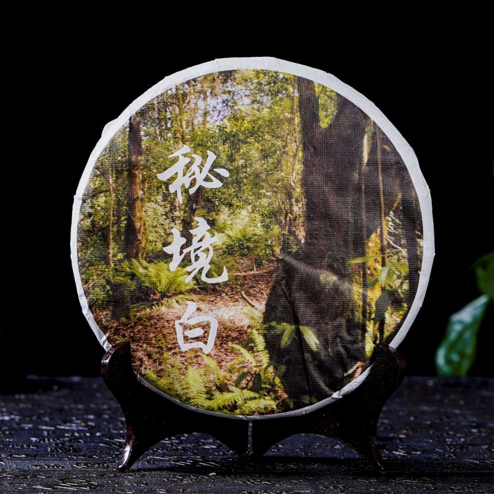 2020 Min Feng Mountain 