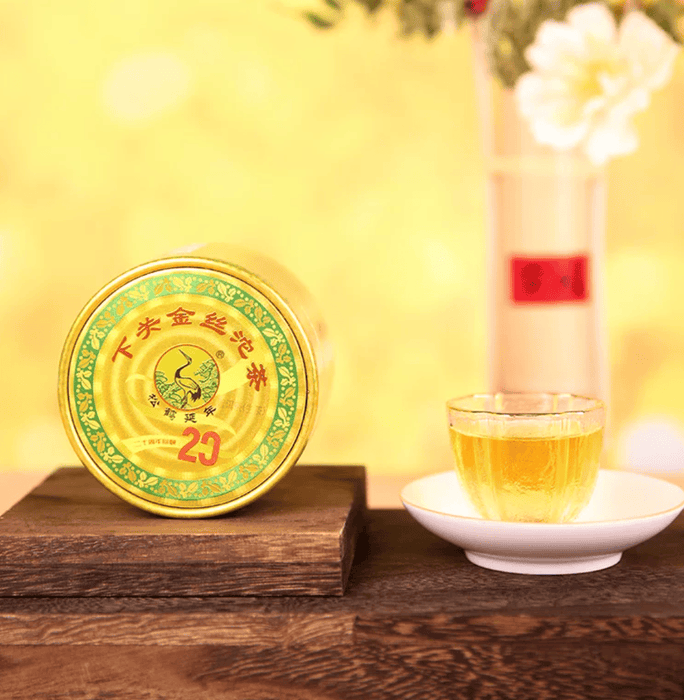 2024 Xiaguan "Gold Ribbon Tuo" Raw Pu-erh Tea | Yunnan Sourcing Tea Shop