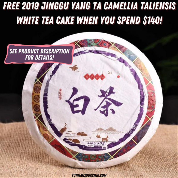 2019 Jinggu Yang Ta Camellia Taliensis White Tea Cake