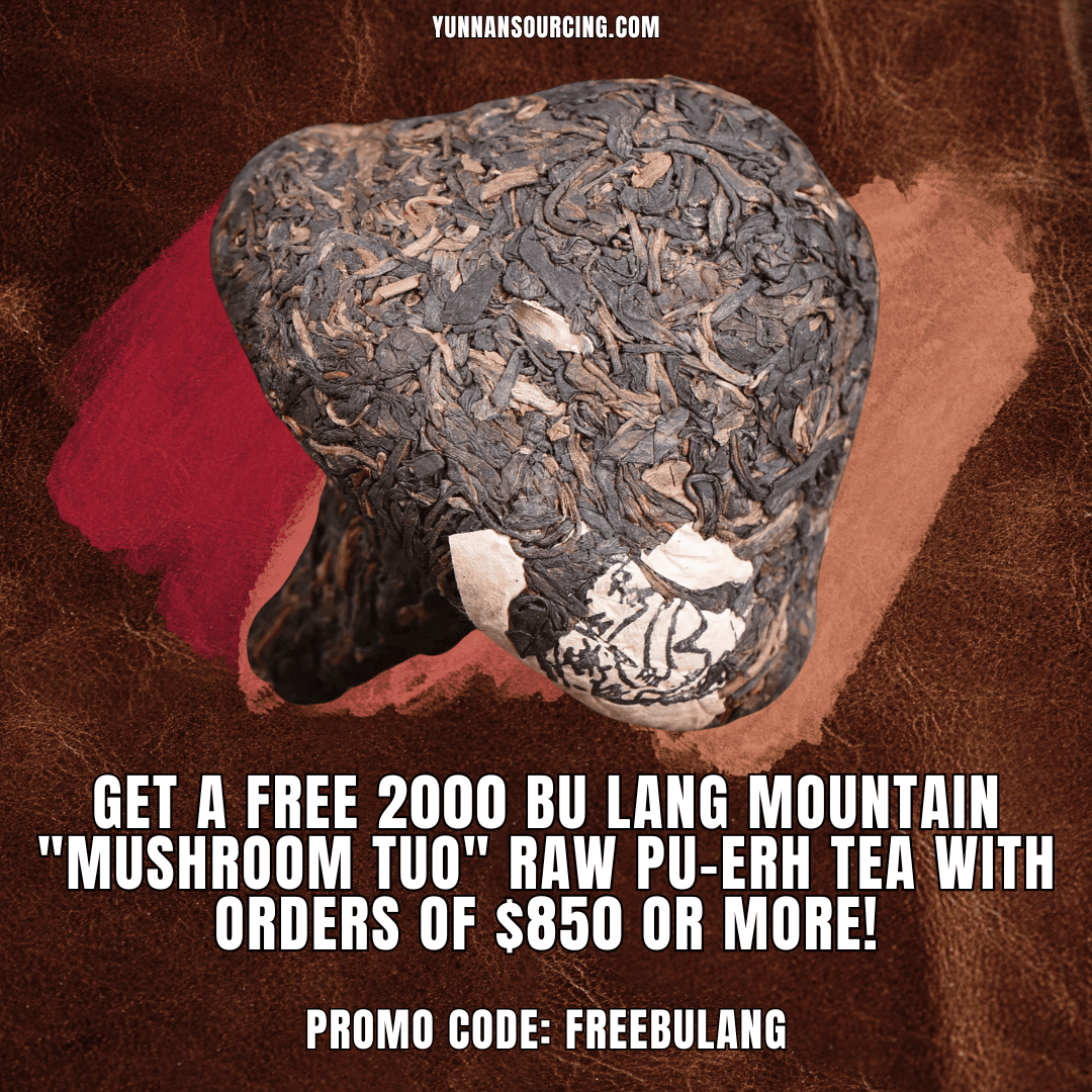 2000 Bu Lang Mountain "Mushroom Tuo" Raw Pu-erh Tea | Yunnan Sourcing Tea Shop