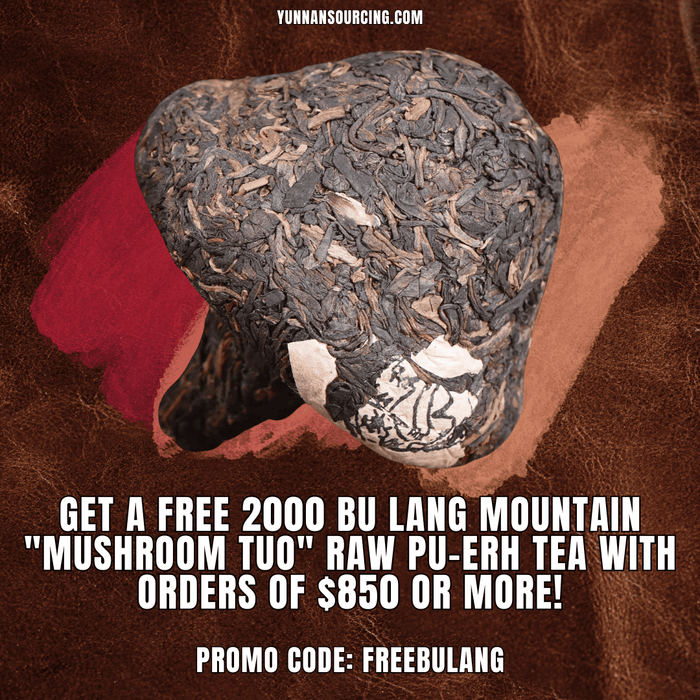 2000 Bu Lang Mountain "Mushroom Tuo" Raw Pu-erh Tea | Yunnan Sourcing Tea Shop