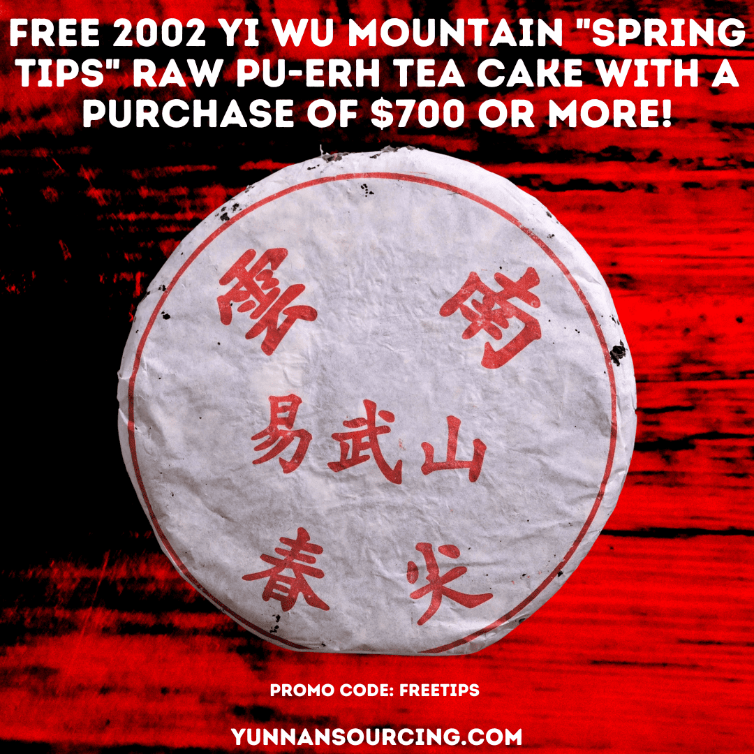 2002 Yi Wu Mountain "Spring Tips" Raw Pu-erh Tea Cake | Yunnan Sourcing Tea Shop