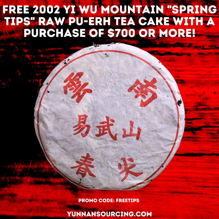 2002 Yi Wu Mountain "Spring Tips" Raw Pu-erh Tea Cake