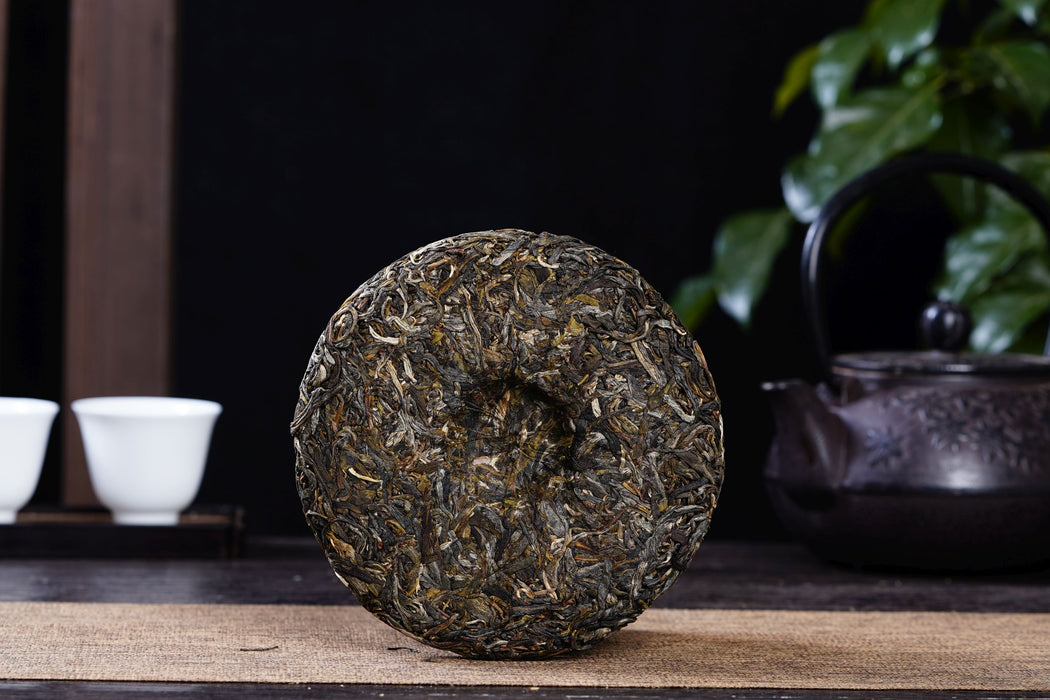 2023 Yunnan Sourcing "Suan Zao Shu" Old Arbor Raw Pu-erh Tea Cake