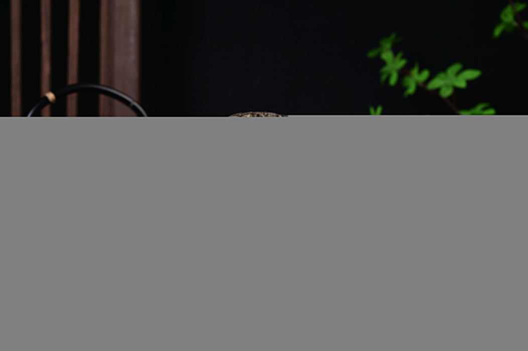 2025 Yunnan Sourcing "Wa Long Village" Ancient Arbor Raw Pu-erh Tea Cake | Yunnan Sourcing Tea Shop