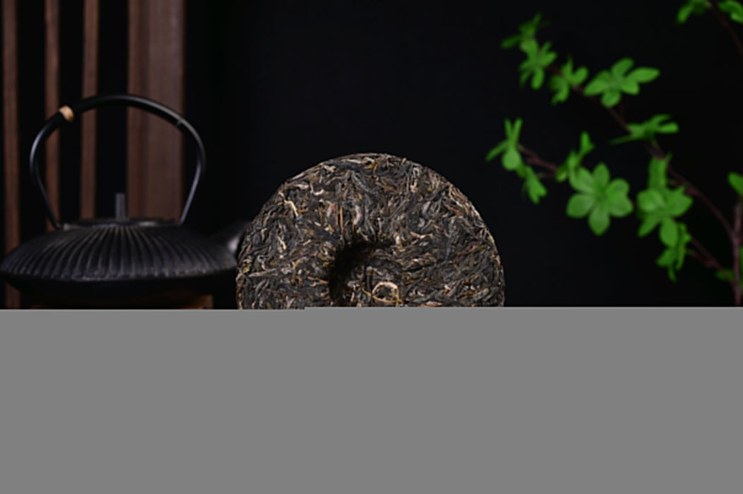 2025 Yunnan Sourcing "Wa Long Village" Ancient Arbor Raw Pu-erh Tea Cake | Yunnan Sourcing Tea Shop