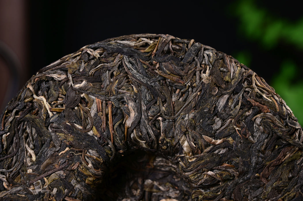 2025 Yunnan Sourcing "Wa Long Village" Ancient Arbor Raw Pu-erh Tea Cake | Yunnan Sourcing Tea Shop