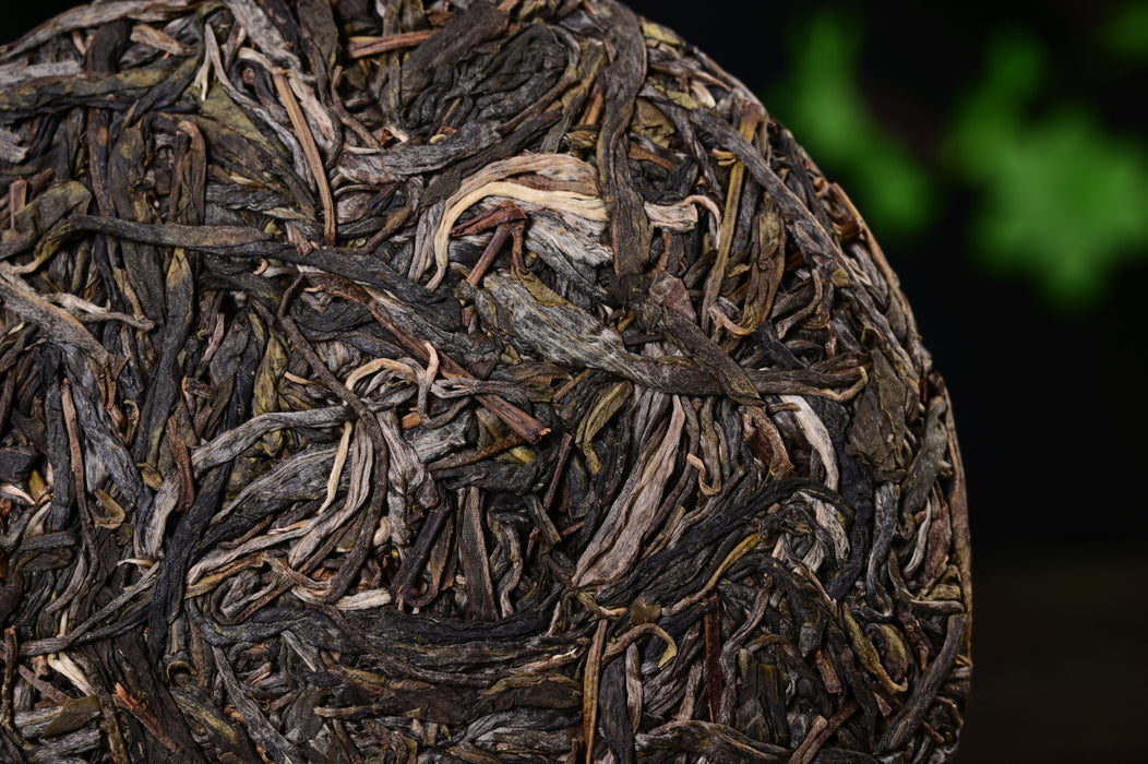 2025 Yunnan Sourcing "Wa Long Village" Ancient Arbor Raw Pu-erh Tea Cake | Yunnan Sourcing Tea Shop