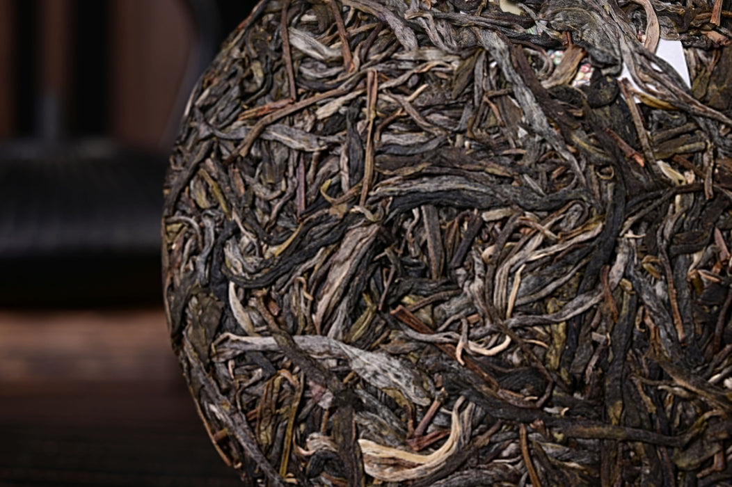 2025 Yunnan Sourcing "Wa Long Village" Ancient Arbor Raw Pu-erh Tea Cake | Yunnan Sourcing Tea Shop