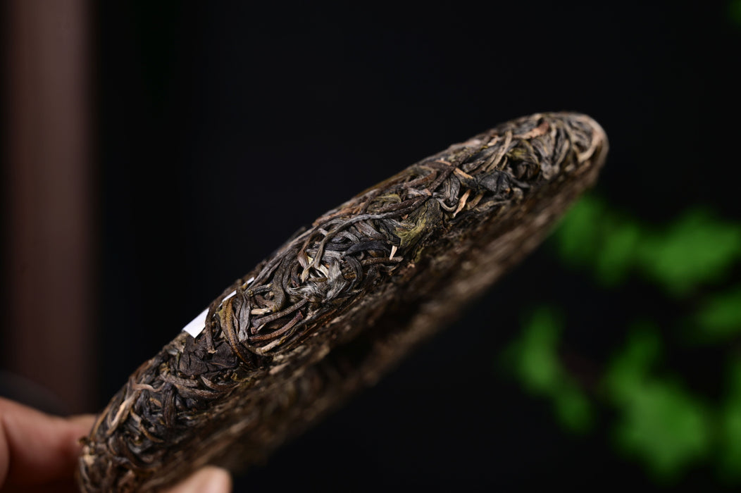 2025 Yunnan Sourcing "Wa Long Village" Ancient Arbor Raw Pu-erh Tea Cake | Yunnan Sourcing Tea Shop