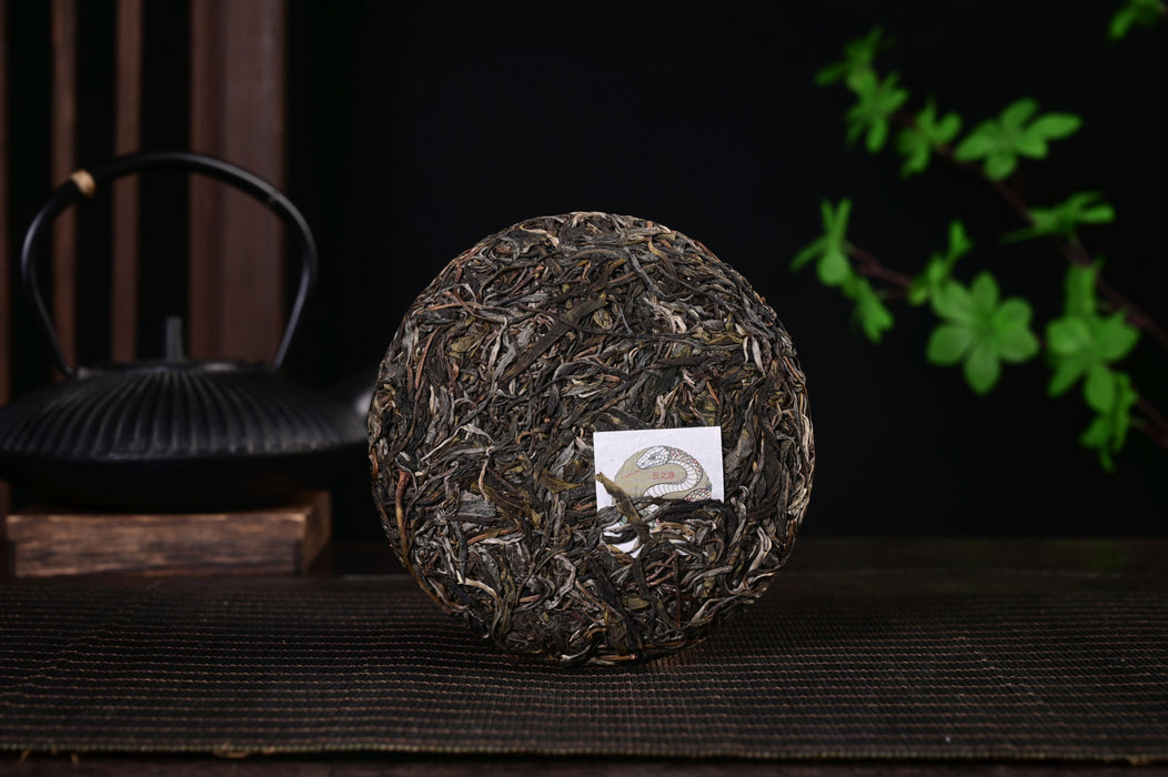 2025 Yunnan Sourcing "Mang Zhi" Old Arbor Raw Pu-erh Tea Cake | Yunnan Sourcing Tea Shop