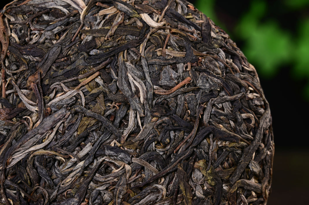 2025 Yunnan Sourcing "Yi Shan Mo" Yi Wu Ancient Arbor Raw Pu-erh Tea Cake | Yunnan Sourcing Tea Shop