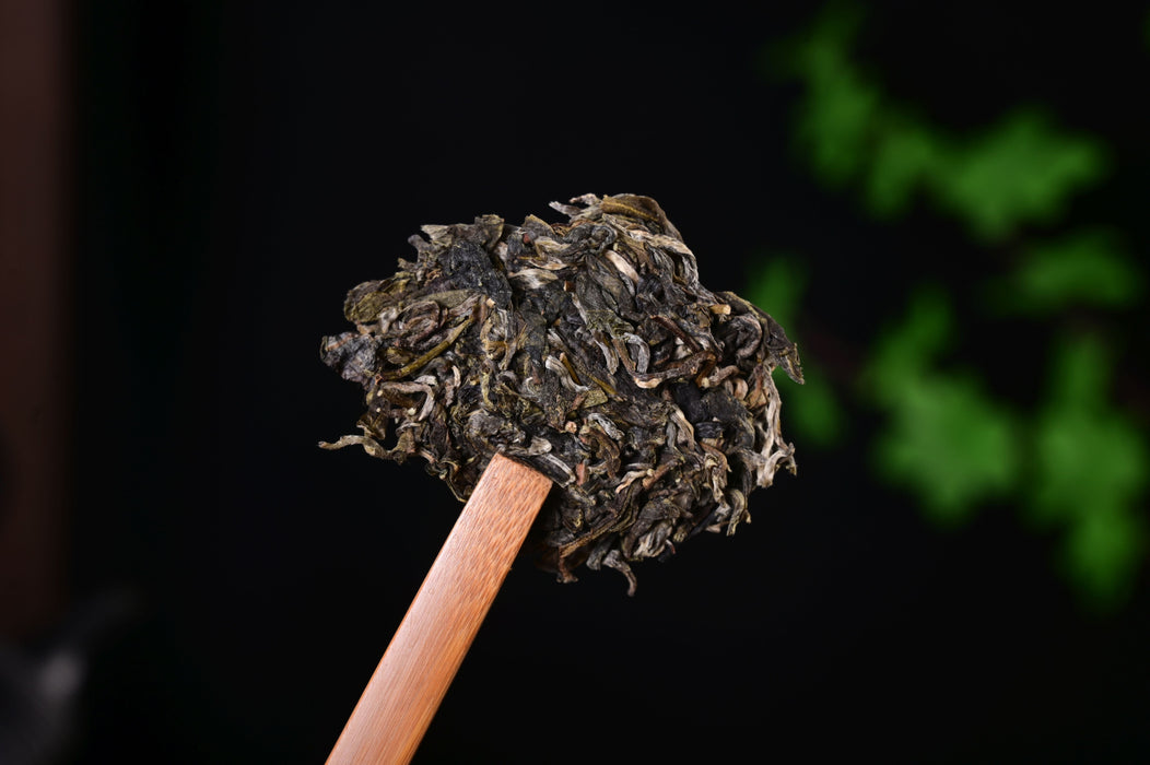 2025 Yunnan Sourcing "Wa Long Village" Ancient Arbor Raw Pu-erh Tea Cake | Yunnan Sourcing Tea Shop