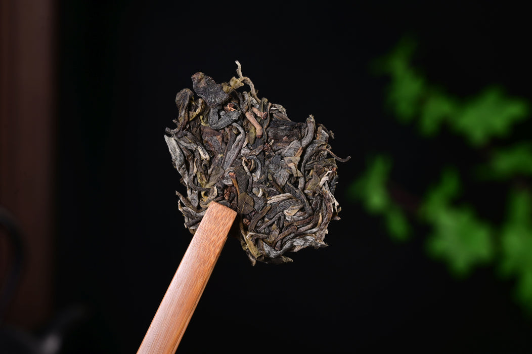 2025 Yunnan Sourcing "Mang Zhi" Old Arbor Raw Pu-erh Tea Cake | Yunnan Sourcing Tea Shop