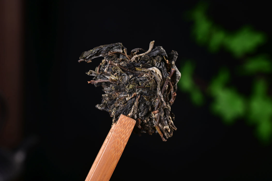 2025 Yunnan Sourcing "Yi Shan Mo" Yi Wu Ancient Arbor Raw Pu-erh Tea Cake | Yunnan Sourcing Tea Shop